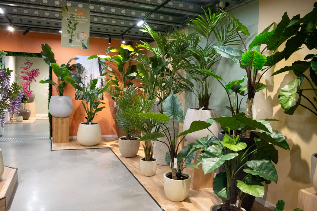 Onze Showroom