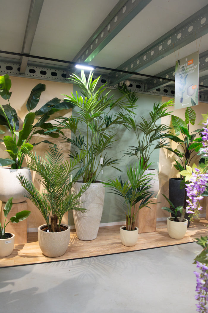 Onze Showroom